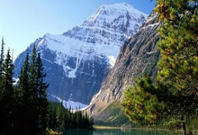 开云在线登入 -鲭鱼的鲭怎么读